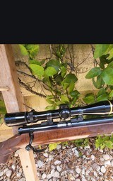 LeupoldVX-3 2.5-8×36mm and or Anschutz SK rings