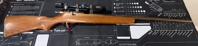 Marlin model 80 .22 S,L,LR