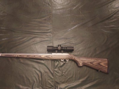 Ruger 10/22 Classic Stainless Steel Laminate Mannlicher - Image 5 of 15