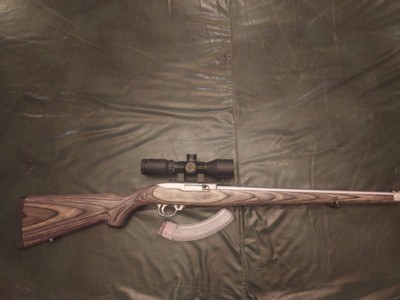 Ruger 10/22 Classic Stainless Steel Laminate Mannlicher - Image 1 of 15