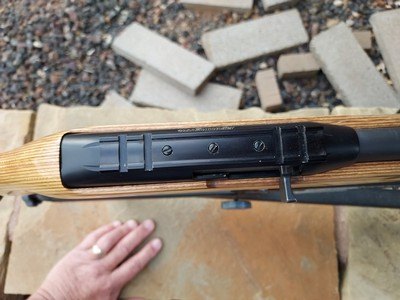 Remington 597, Caliber 17HMR, Laminate Heavy Barrel - Image 3 of 15