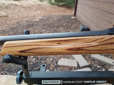 Remington 597, Caliber 17HMR, Laminate Heavy Barrel - Image 14 of 15