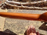 Browning BSS 12 Gauge made 1973, 53 years voung and looks like it was built 3 years ago - Image 4 of 12