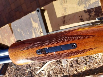 Browning BSS 12 Gauge made 1973, 53 years voung and looks like it was built 3 years ago - Image 2 of 12