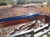 Browning BSS 12 Gauge made 1973, 53 years voung and looks like it was built 3 years ago - Image 7 of 12