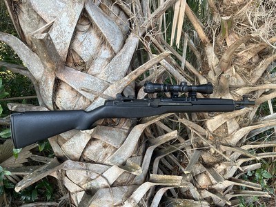 Springfield Armory M1A SOCOM 16 - Image 4 of 4