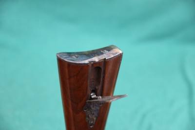 Chiappa 1897 Sharps Down Under 45-70 34
