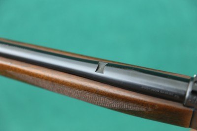 Savage 99R 250-3000 99 24