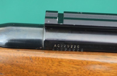 Harrington & Richardson Ultra Automatic Deluxe 243 Win 22