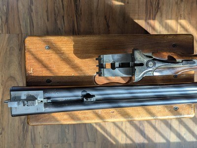 Merkel 12ga. SxS Sidelock - Image 10 of 10