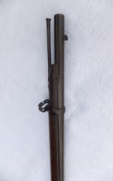 Springfield Model 1884 Service Rifle - 9 of 15