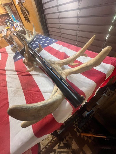 Browning B2000 12 gauage - Image 4 of 8