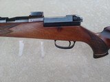 Rare & Unique MAUSER Mod 66 Bolt-Action Rifle, .243 WIN, German 6x42 Scope in Top Condition - 7 of 11