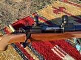 Winchester pre 64 model 70 270 WCF, super grade. Beautiful rifle - 18 of 19
