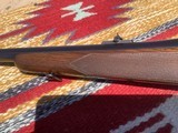 Winchester pre 64 model 70 375 H&H Pristine - 10 of 20