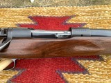 Winchester pre 64 Model 70 300 H&H 1959 manufacture, Great Rifle - 4 of 17