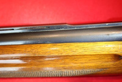 Charles Daly, Auto Pointer, 12 Ga - Image 1 of 4