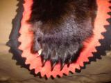 Black Bear skin rug - 6 of 11