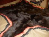 Black Bear skin rug - 10 of 11