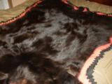 Black Bear skin rug - 9 of 11