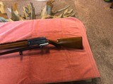 Browning A5 light 20 First Yesr - 4 of 14