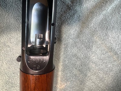 Browning A5 20 gauge - Image 13 of 15