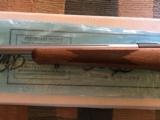 KIMBER OF AMERICA 84M VARMINTER IN .204 RUGER NIB - 10 of 15