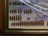 SPEER Bullet Display Board - 6 of 15