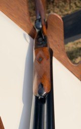 AYA Model 4, 20 gauge, SxS 20 gauge shotgun - 11 of 16