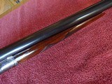 A H FOX, PHIL., STERLINGWORTH 20 GAUGE - GORGEOUS - 12 of 14