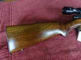 WINCHESTER MODEL 43 22 HORNET - OUTSTANDING ORIGINAL CONDITION - 4 of 11