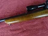 WINCHESTER MODEL 43 22 HORNET - OUTSTANDING ORIGINAL CONDITION - 8 of 11