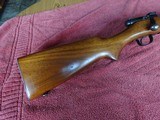 WINCHESTER MODEL 43 218 BEE - EXCEPTIONAL ORIGINAL CONDITION - 13 of 14
