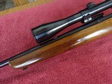 WINCHESTER MODEL 43 22 HORNET - OUTSTANDING ORIGINAL CONDITION - 11 of 14