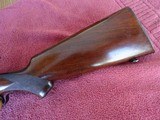 WINCHESTER MODEL 75 SPORTER - PRE-WAR - NICE GUN - 10 of 14