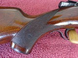 WINCHESTER MODEL 75 SPORTER - PRE-WAR - NICE GUN - 3 of 14