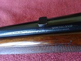 WINCHESTER MODEL 75 SPORTER - GROOVED RECEIVER - EXCEPTIONAL ORIGINAL CONDITION - 12 of 15