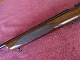WINCHESTER MODEL 75 SPORTER - GROOVED RECEIVER - EXCEPTIONAL ORIGINAL CONDITION - 3 of 15