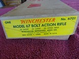 WINCHESTER MODEL 67 NEW IN THE BOX - SPECTACULAR WOOD - 3 of 12
