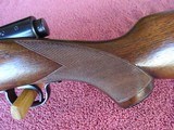WINCHESTER MODEL 43 DELUXE .22 HORNET - MINT, NEW, ORIGINAL CONDITION - 2 of 15