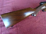 WINCHESTER MODEL 43 DELUXE .22 HORNET - MINT, NEW, ORIGINAL CONDITION - 12 of 15