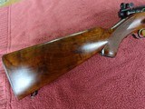 WINCHESTER MODEL 75 SPORTER - GROOVED RECEIVER, GORGEOUS WOOD, 100% ORIGINAL - 4 of 15