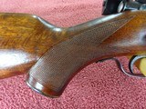 WINCHESTER MODEL 75 SPORTER - GROOVED RECEIVER, GORGEOUS WOOD, 100% ORIGINAL - 3 of 15