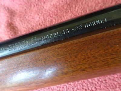 WINCHESTER MODEL 43 22 HORNET - EXCEPTIONAL ORIGINAL CONDITION - Image 12 of 15