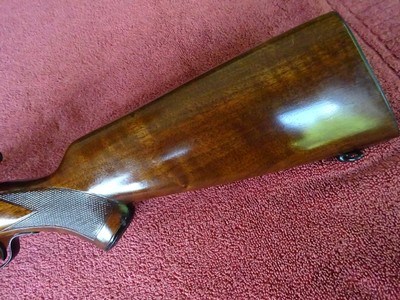 WINCHESTER MODEL 75 SPORTER 99% ORIGINAL BLUE NICE GUN - Image 2 of 15