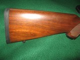 Ruger M77 Mark II Compact - 8 of 13