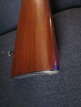 Winchester Model Transition 270 Win - 8 of 20