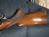 Winchester Model Transition 270 Win - 14 of 20