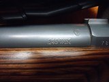 Ruger M77 MKII 243 - 7 of 9