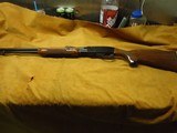 Remington Fieldmaster
572 22cal Pump